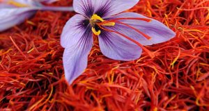 رویداد خبري آژانس