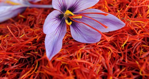 رویداد خبري آژانس