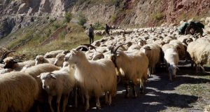 رویداد خبري آژانس