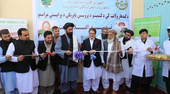 رویداد خبري آژانس