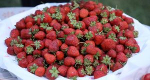 رویداد خبري آژانس