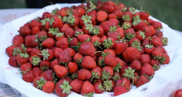 رویداد خبري آژانس