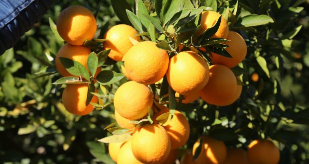 رویداد خبري آژانس