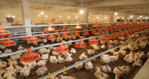 رویداد خبري آژانس