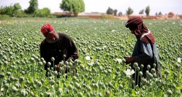 رویداد خبري آژانس