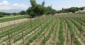 رویداد خبري آژانس