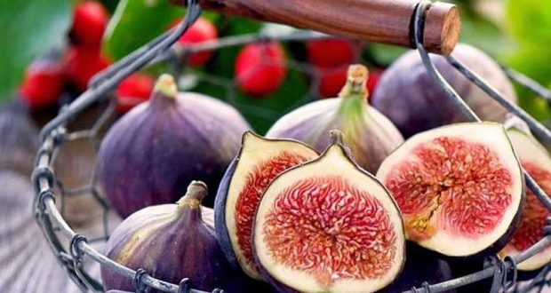 رویداد خبري آژانس