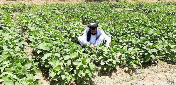 رویداد خبري آژانس