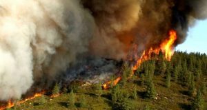 رویداد خبري آژانس