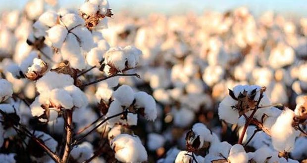 رویداد خبري اژانس