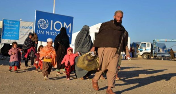 مهاجرین برگشته