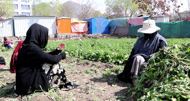 خبرگزاری رویداد