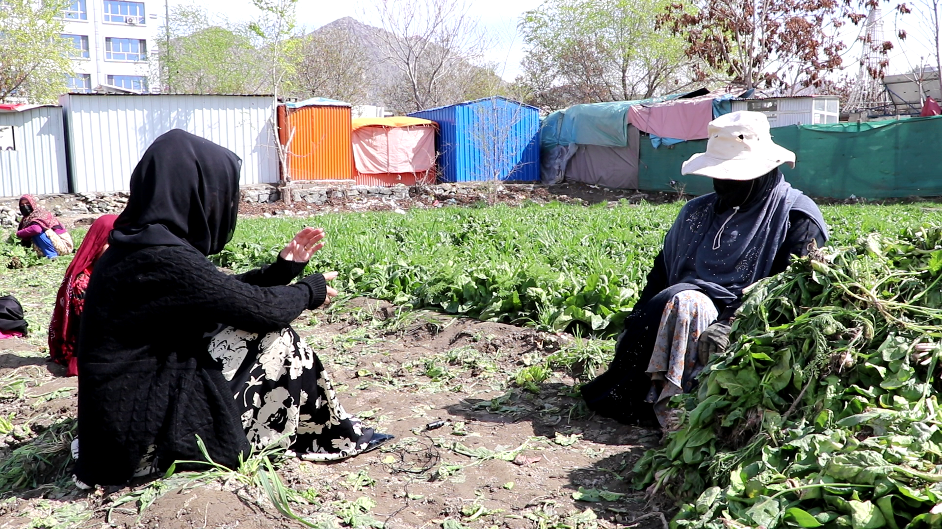 خبرگزاری رویداد